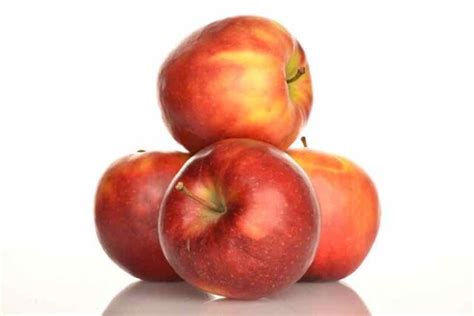 what apples are similar to jonathan apples